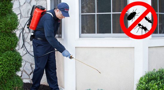 Karacasu Hamam Böceği İlaçlama böcek ilaçlama ve haşere kontrolü — ilaclama-tr.com